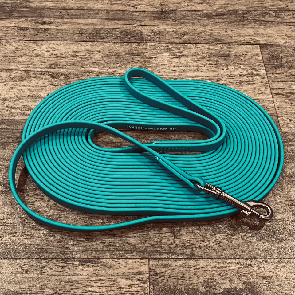 10m Teal Biothane Long Lead - Medium Stainless Steel Snap